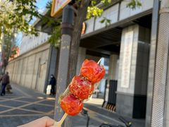 -便宜坊烤鸭店(甜水园店)