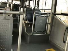 -紫竹院公园冰场