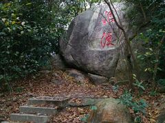 -野狸岛