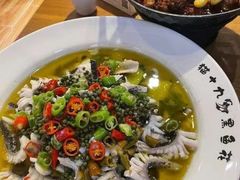 -三猫黑鱼花(南大店)