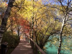 -叠溪松坪沟景区