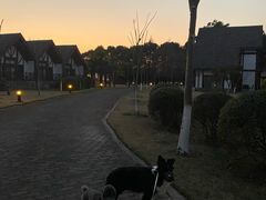 -太阳岛度假酒店