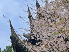 -龙华寺