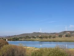-御道口草原森林风景区