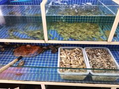 水产区-郭姐·威海渔村(黄兴路店)