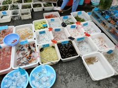-清平路水族市场