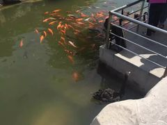 -泉城欧乐堡海洋极地世界