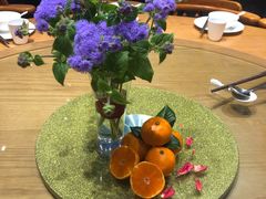 -前小桔亲子创意农场·草莓采摘·露营烧烤