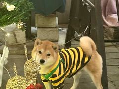 -后海16号·北京私房菜