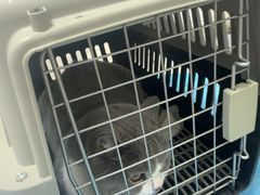 -达爱动物医院·犬猫分区·CT·复杂眼科(远洋山水分院)