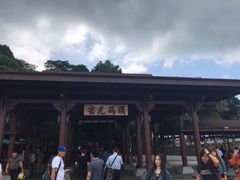 -金盆阿嬷香菇茶叶蛋(玄光店)