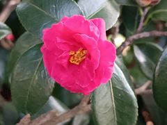 -白塘生态植物园