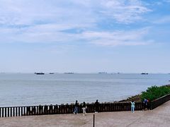 -上海滨江森林公园