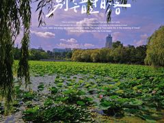 -长春市南湖公园