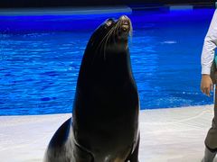 -波塞冬旅游度假区