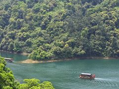 -鼎湖山风景区