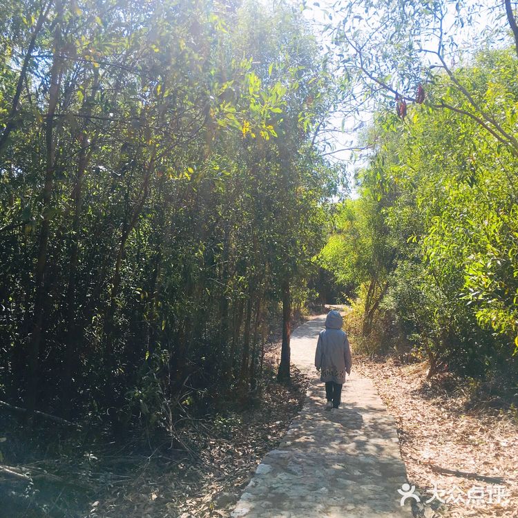 渡了船跨了海爬了山