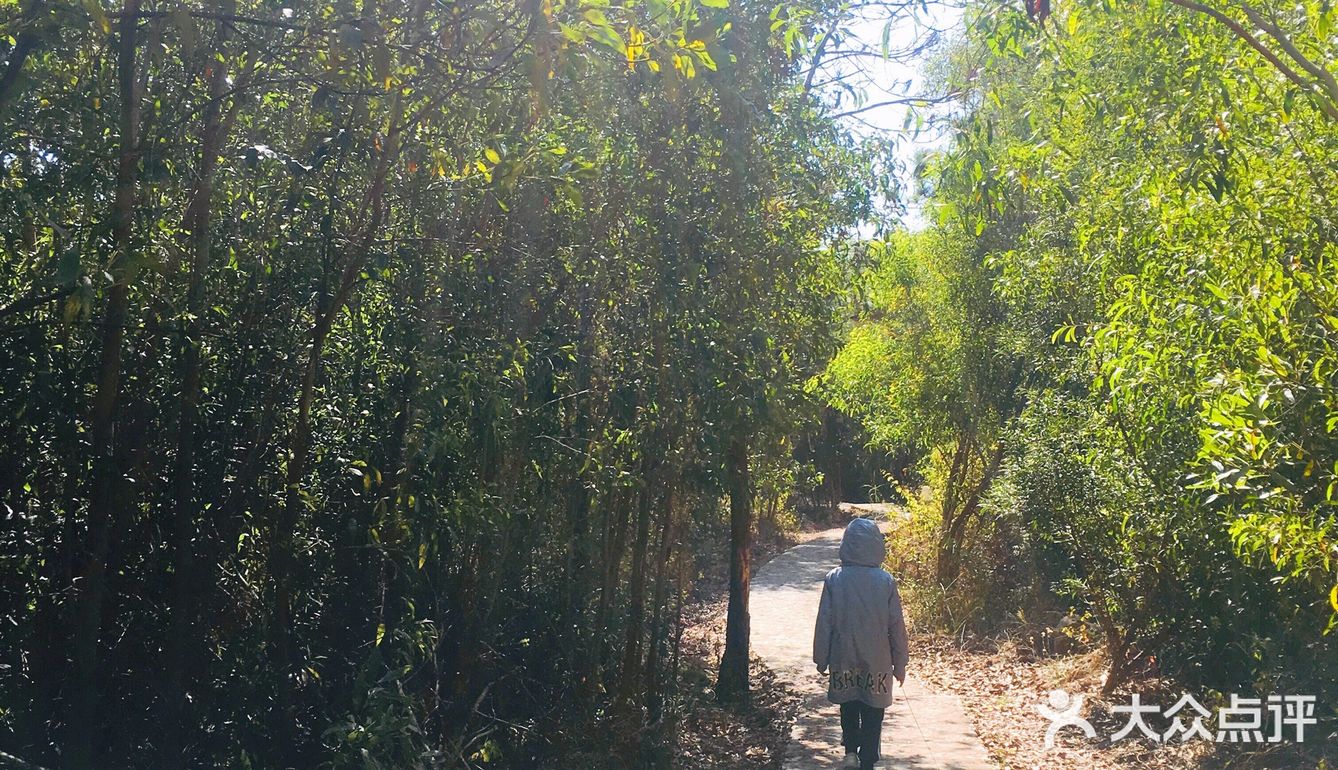 渡了船跨了海爬了山