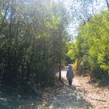 渡了船跨了海爬了山
