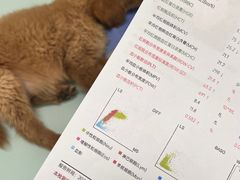 -宠福鑫康馨动物医院·骨科·眼科