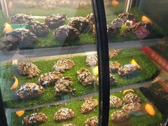 -东南里湖景餐厅·新闽菜(浦西万达店)