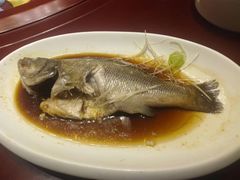 -皇冠明珠鱼翅楼(水上公园店)