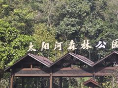 -普洱太阳河森林公园