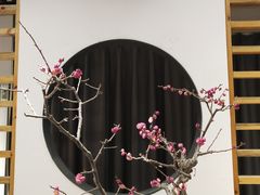 -石家庄市植物园