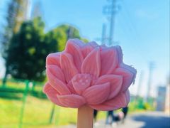 -嘉北郊野公园
