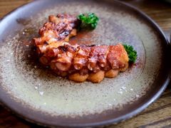章鱼-Apollo·西班牙小酒馆(安福路店)