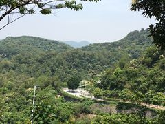-火炉山森林公园