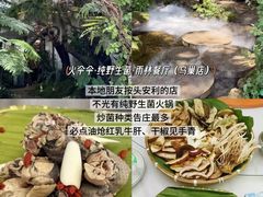 -西双版纳原始森林公园