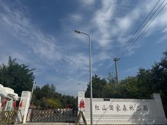 -红山国家森林公园