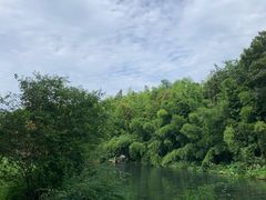 -杭州植物园