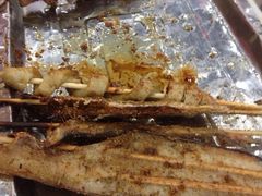 iphone_upload_pic-天津乾毓德饭庄·清真传统炒菜·海鲜烧烤(咸阳路店)