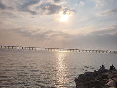 -宝安西湾红树林湿地公园