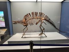 -湖南省地质博物馆