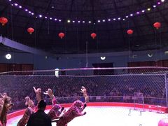 -西安秦岭野生动物园