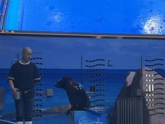 -洛阳龙门海洋馆