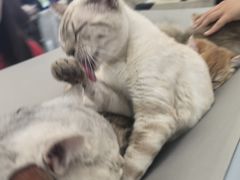 -万达广场(北京槐房店)