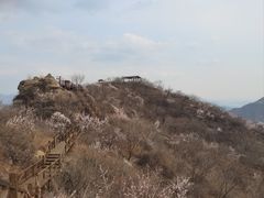 -大岭沟猕猴桃谷风景区