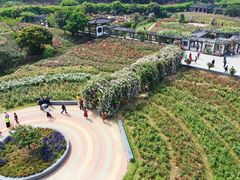 -龙寺生态园
