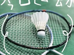 -东丽温泉羽毛球