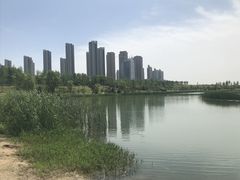 -西安浐灞国家湿地公园