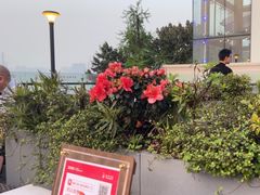 -渝信川菜(南滨店)