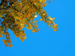 -苏州河梦清园环保主题公园