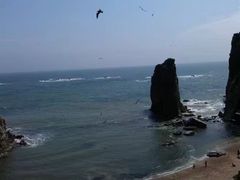 -海驴岛(荣成市)
