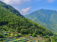 -四明山国家森林公园
