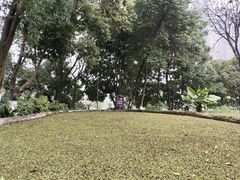 -成都市活水公园