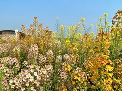 -中国天府农业博览园